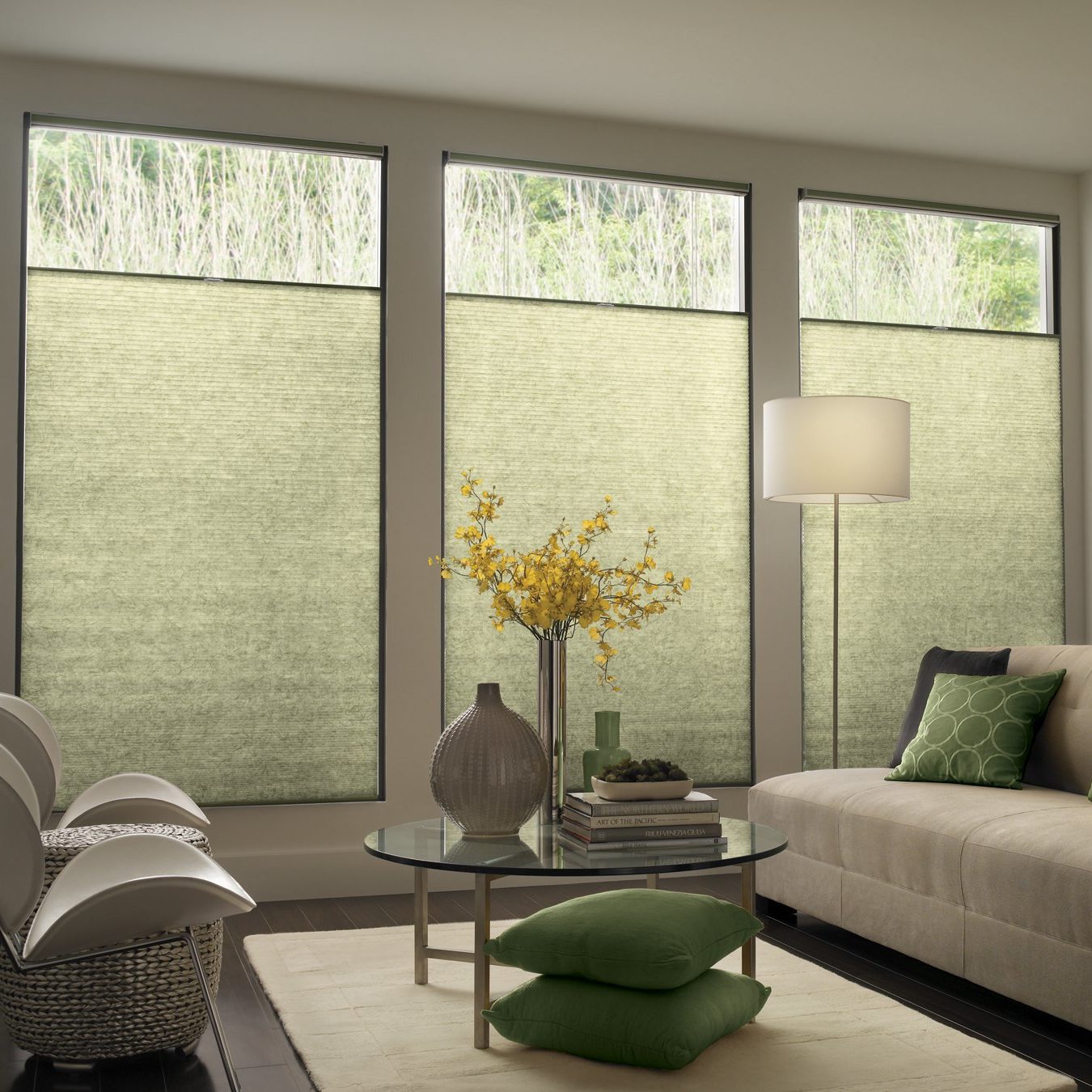 Top-Down/Bottom-Up Cordless Light-Filtering EcoSmart Cellular Window Shades in Living Room