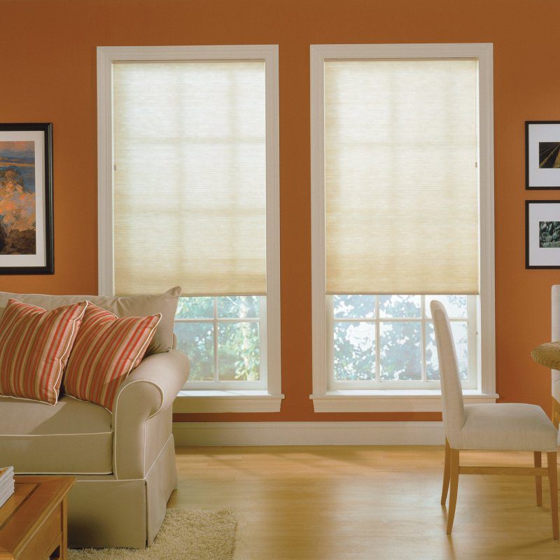 Standard Corded Light-Filtering EcoSmart Cellular Window Shades in Living Room