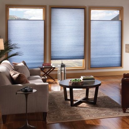 Standard Corded Top-Down/Bottom-Up Light-Filtering EcoSmart Cellular Window Shades in Living Room